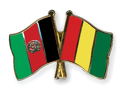 Fahnen Pins Afghanistan Guinea