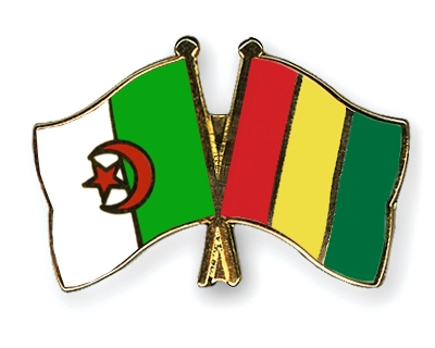 Fahnen Pins Algerien Guinea