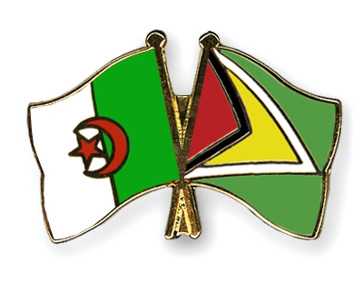 Fahnen Pins Algerien Guyana