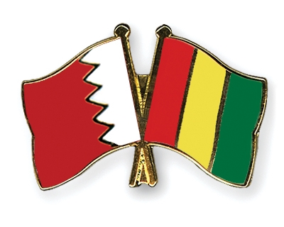 Fahnen Pins Bahrain Guinea