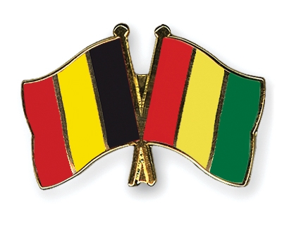 Fahnen Pins Belgien Guinea