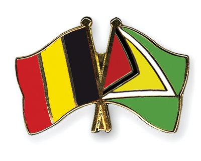 Fahnen Pins Belgien Guyana
