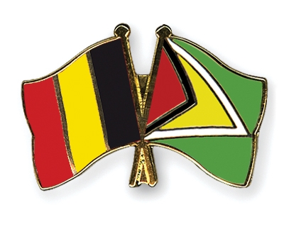 Fahnen Pins Belgien Guyana