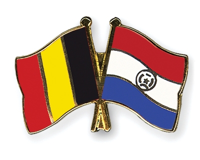 Fahnen Pins Belgien Paraguay