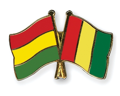 Fahnen Pins Bolivien Guinea