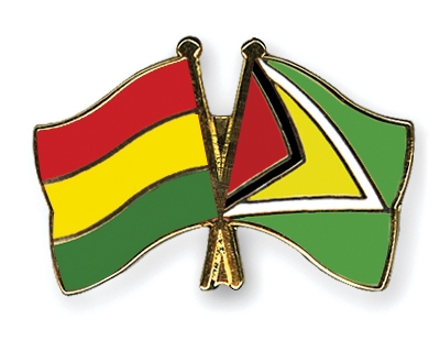Fahnen Pins Bolivien Guyana