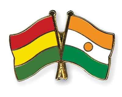 Fahnen Pins Bolivien Niger