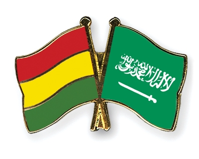 Fahnen Pins Bolivien Saudi-Arabien