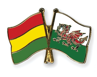 Fahnen Pins Bolivien Wales