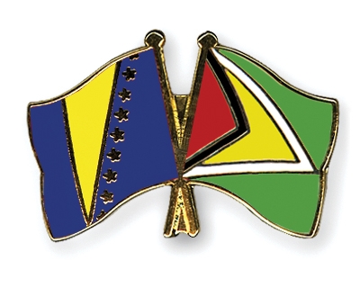 Fahnen Pins Bosnien-und-Herzegowina Guyana