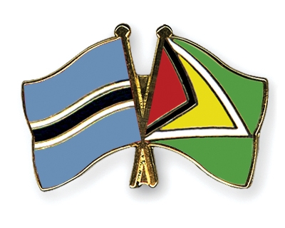 Fahnen Pins Botsuana Guyana