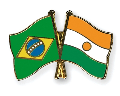 Fahnen Pins Brasilien Niger