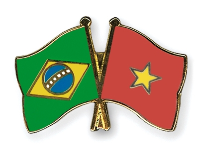 Fahnen Pins Brasilien Vietnam