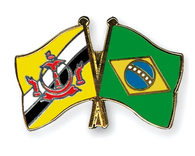 Fahnen Pins Brunei-Darussalam Brasilien
