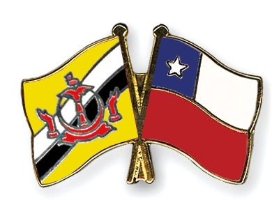 Fahnen Pins Brunei-Darussalam Chile