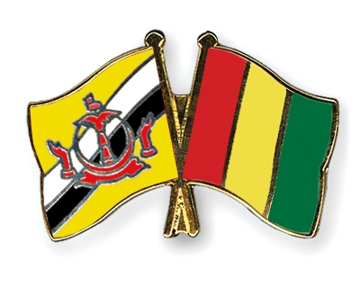Fahnen Pins Brunei-Darussalam Guinea