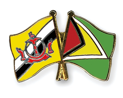 Fahnen Pins Brunei-Darussalam Guyana