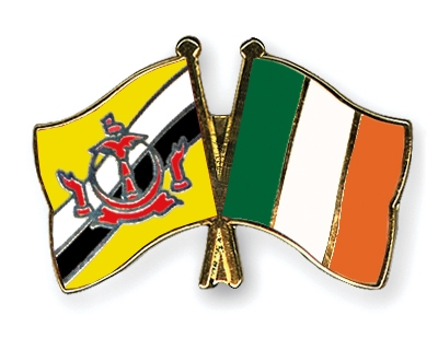 Fahnen Pins Brunei-Darussalam Irland