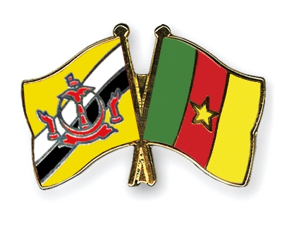 Fahnen Pins Brunei-Darussalam Kamerun