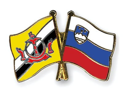 Fahnen Pins Brunei-Darussalam Slowenien