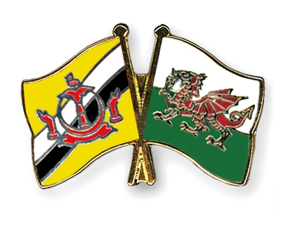 Fahnen Pins Brunei-Darussalam Wales
