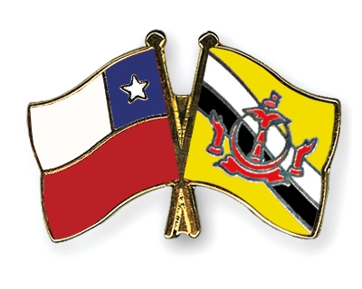 Fahnen Pins Chile Brunei-Darussalam