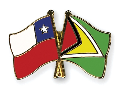Fahnen Pins Chile Guyana