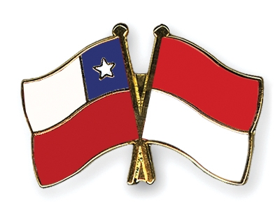 Fahnen Pins Chile Indonesien