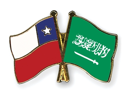Fahnen Pins Chile Saudi-Arabien