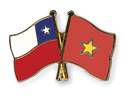 Fahnen Pins Chile Vietnam