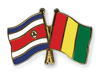 Fahnen Pins Costa-Rica Guinea