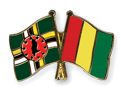 Fahnen Pins Dominica Guinea