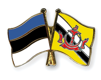 Fahnen Pins Estland Brunei-Darussalam