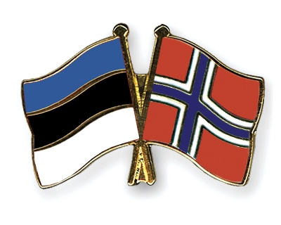 Fahnen Pins Estland Norwegen