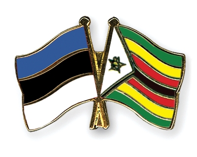 Fahnen Pins Estland Simbabwe