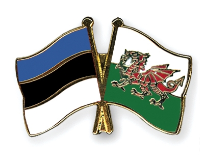 Fahnen Pins Estland Wales
