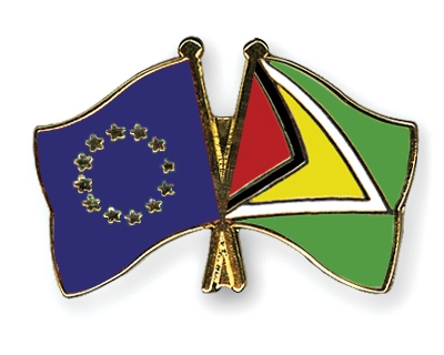 Fahnen Pins Europa Guyana