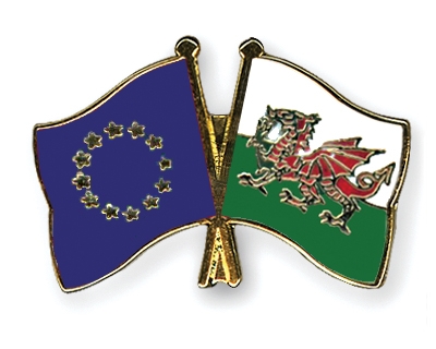 Fahnen Pins Europa Wales