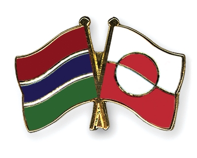 Fahnen Pins Gambia Grnland