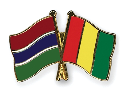 Fahnen Pins Gambia Guinea