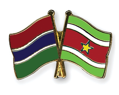 Fahnen Pins Gambia Surinam