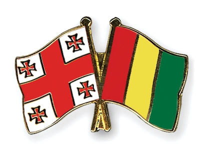 Fahnen Pins Georgien Guinea