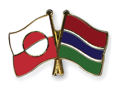 Fahnen Pins Grnland Gambia