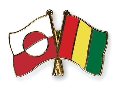 Fahnen Pins Grnland Guinea