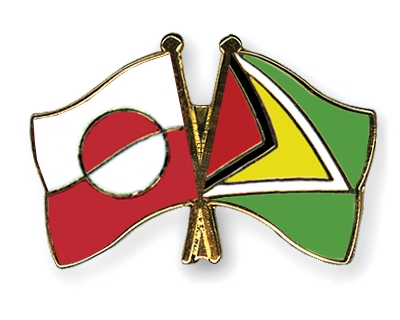 Fahnen Pins Grnland Guyana