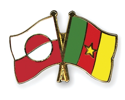 Fahnen Pins Grnland Kamerun