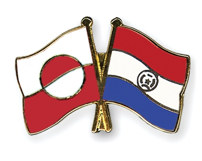 Fahnen Pins Grnland Paraguay