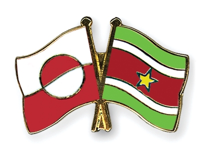 Fahnen Pins Grnland Surinam