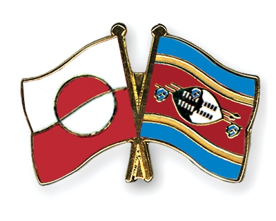 Fahnen Pins Grnland Swasiland