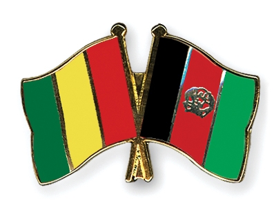 Fahnen Pins Guinea Afghanistan